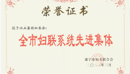 喜報！興業(yè)集團婦委會榮獲“全市婦聯(lián)系統(tǒng)先進集體”榮譽稱號